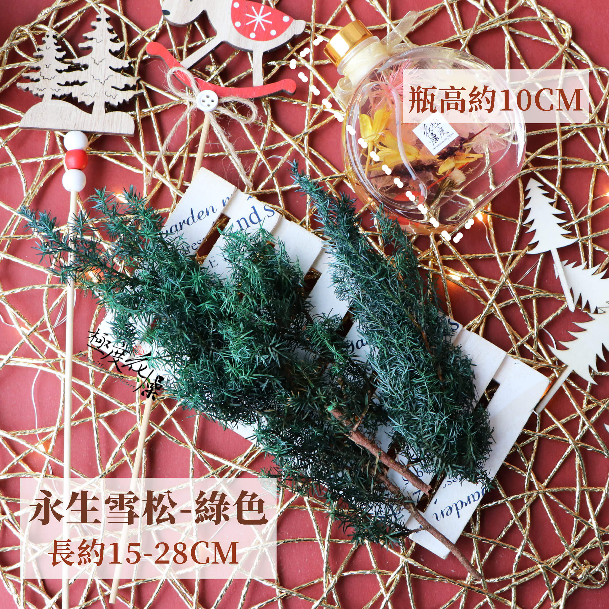 綠 _永生雪松
