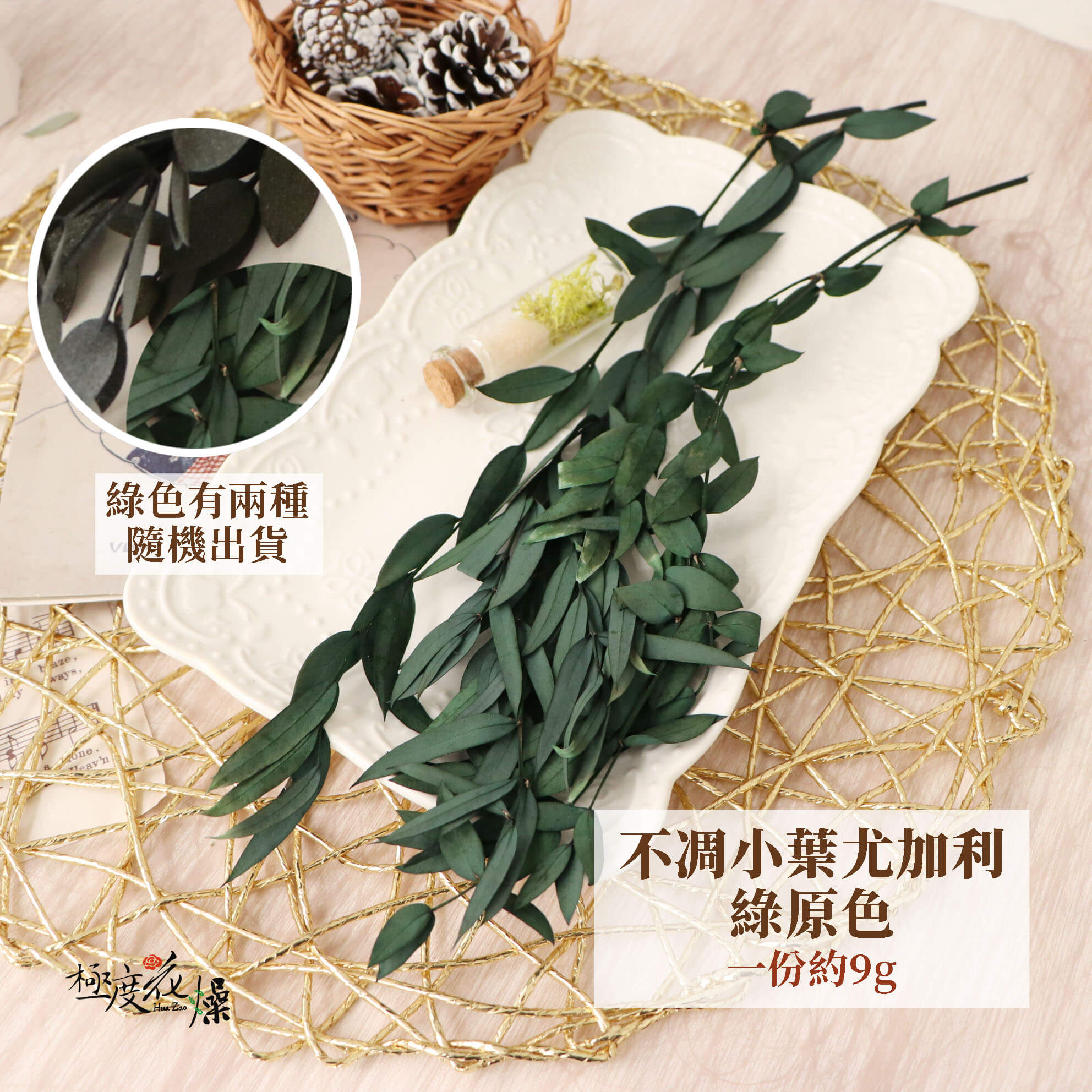 綠_不凋小葉尤加利 拷貝
