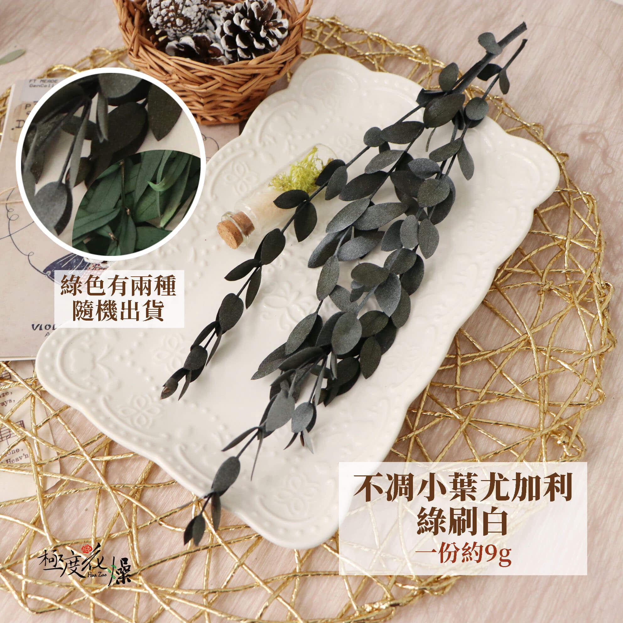 綠刷白_不凋小葉尤加利 拷貝