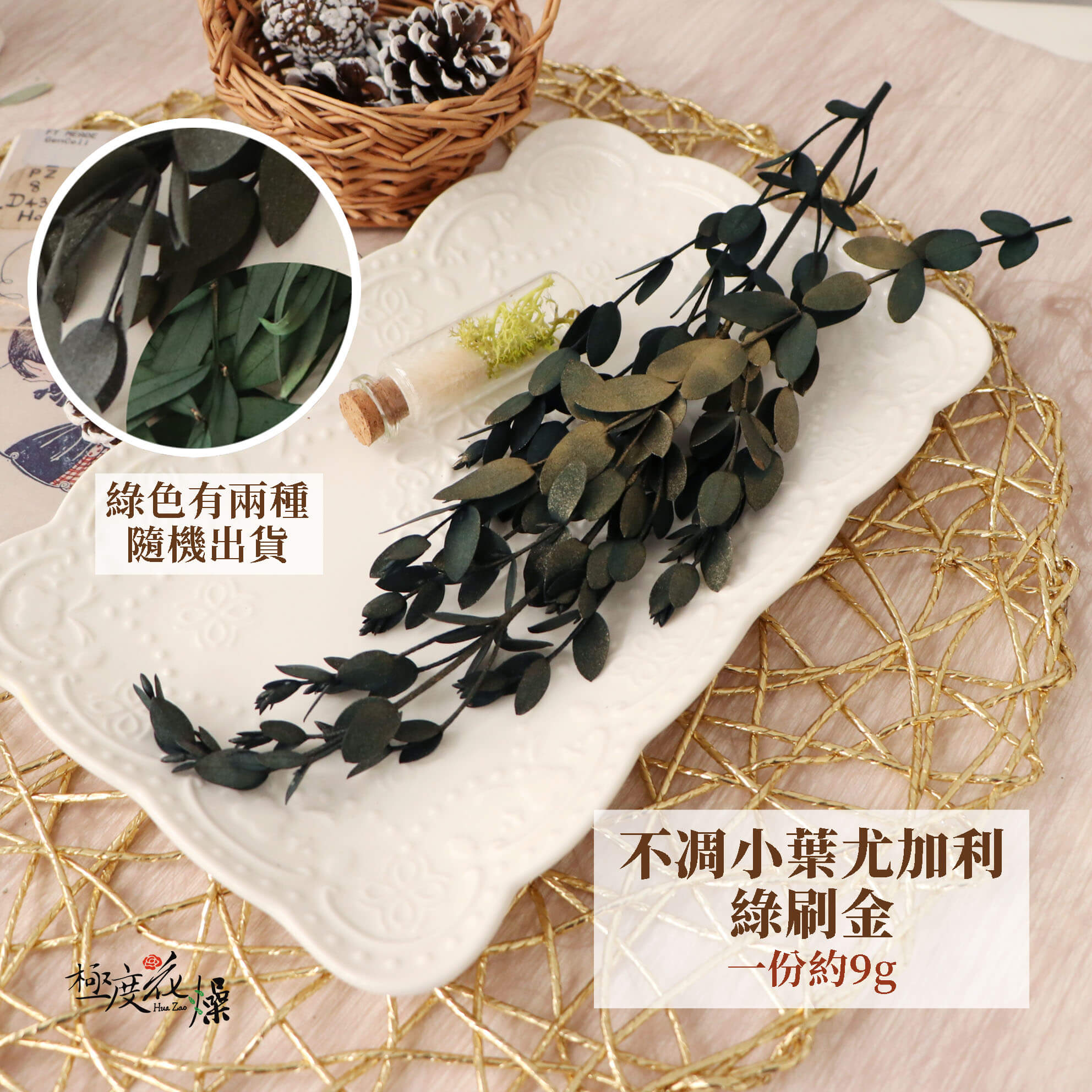 綠刷金_不凋小葉尤加利 拷貝
