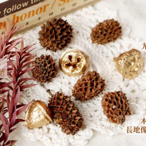 美二 _木麻黃