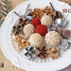 美圖 _木丹果