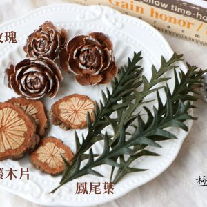 美圖 _杉玫瑰