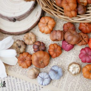 美圖1 _小南瓜 拷貝