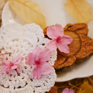 美圖1__永生櫻花 拷貝