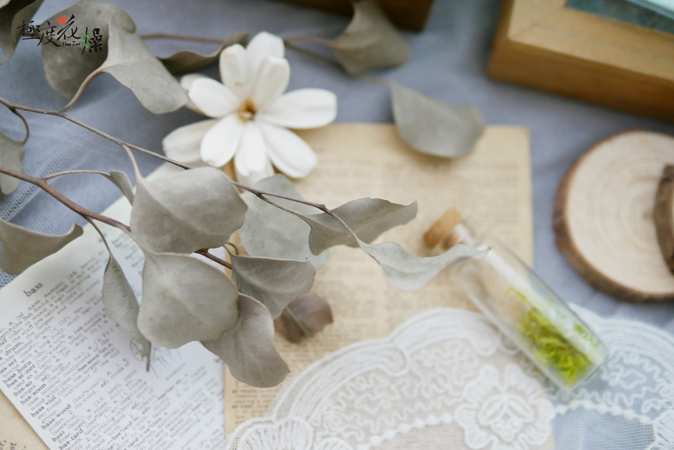 美圖1_乾燥大葉尤加利葉 拷貝