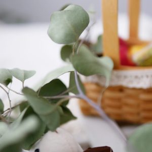 美圖1_乾燥大葉尤加利葉 拷貝