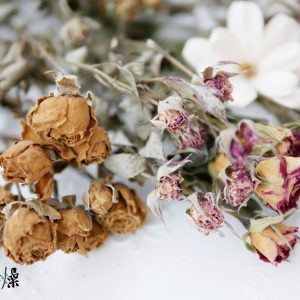 美圖1_分裝迷你玫瑰 拷貝