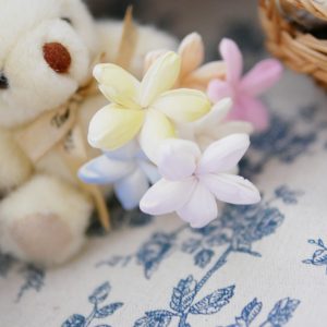 美圖1_小茉莉 拷貝