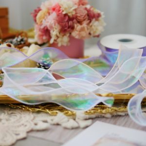 美圖1_幻彩魚尾紗 拷貝