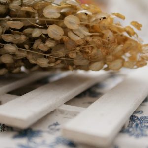 美圖1_整包翠扇 拷貝
