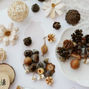 美圖1_果實拼貼畫 拷貝