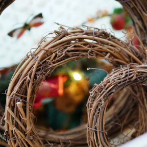 美圖1_藤圈 拷貝