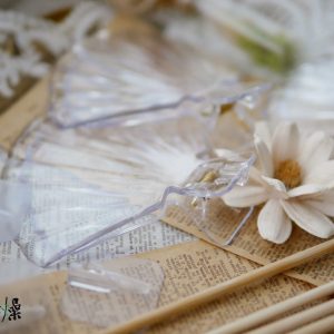 美圖1_貝殼夾 拷貝