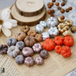 美圖2 _小南瓜 拷貝