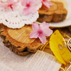 美圖2__永生櫻花 拷貝
