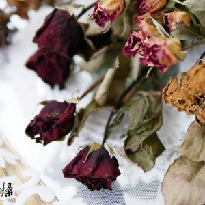 美圖2_分裝迷你玫瑰 拷貝