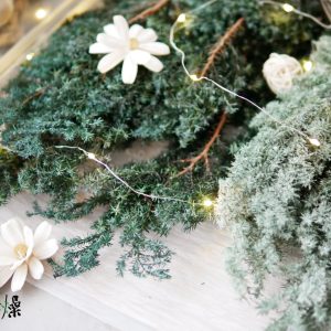 美圖2_原裝永生雪松 拷貝