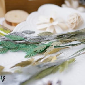 美圖2_小盼草 拷貝