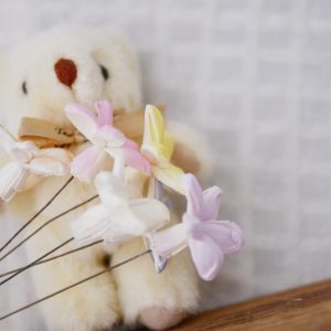 美圖2_小茉莉 拷貝