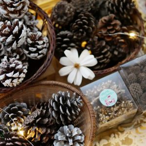 美圖2_果實小量販包 拷貝