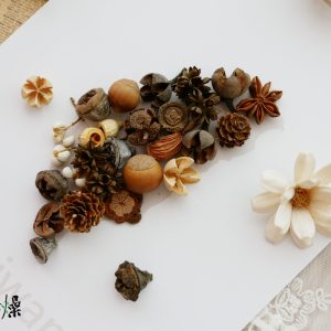 美圖2_果實拼貼畫 拷貝