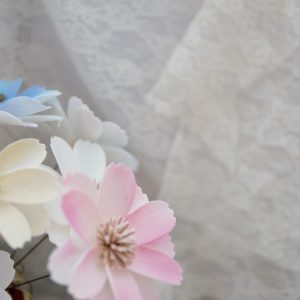美圖2_波斯橘 拷貝