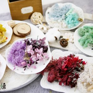 美圖2_繡苔材料包 拷貝