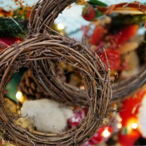 美圖2_藤圈 拷貝