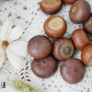 美圖2_蘑菇頭 拷貝