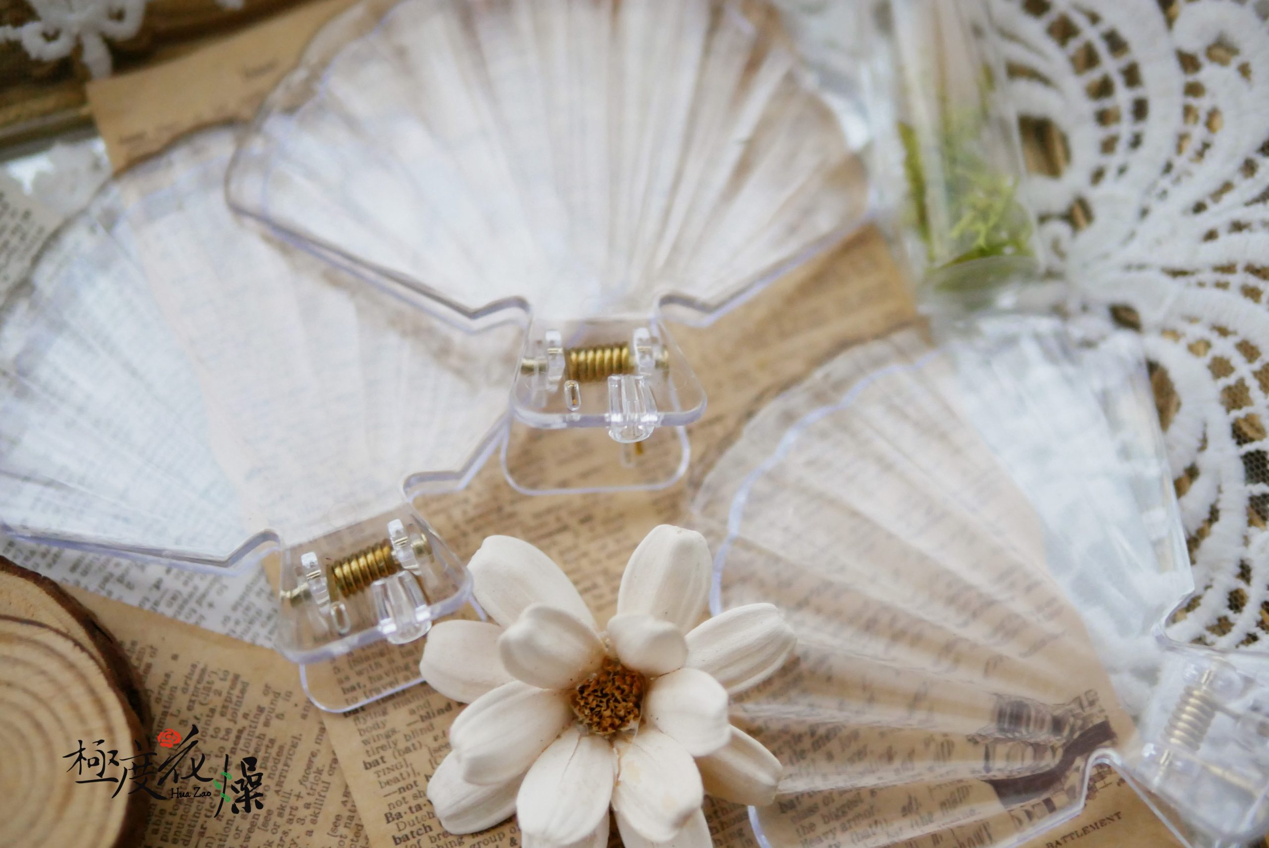 美圖2_貝殼夾 拷貝