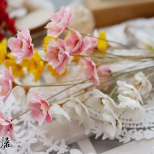 美圖2_銀蓮花 拷貝