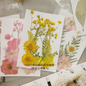 美圖3_3D燈片材料包 拷貝