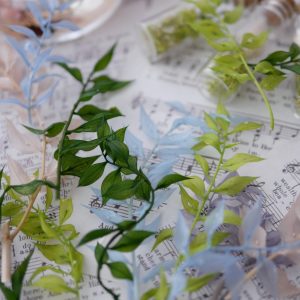 美圖3_大地農園永生富貴葉 拷貝