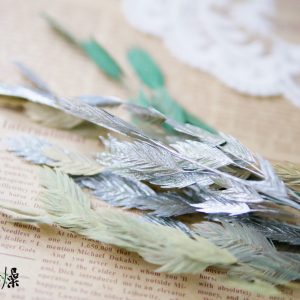 美圖3_小盼草 拷貝