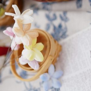 美圖3_小茉莉 拷貝