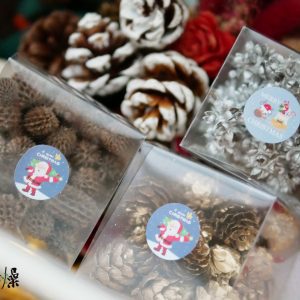 美圖3_果實小量販包 拷貝