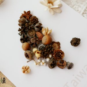美圖3_果實拼貼畫 拷貝