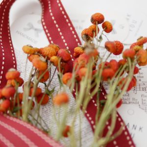 美圖3_薔薇果 拷貝