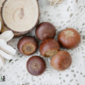 美圖3_蘑菇頭 拷貝