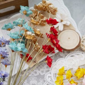 美圖3_銀蓮花 拷貝