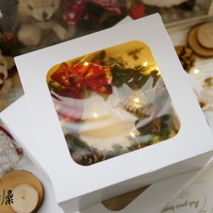 美圖3_開窗紙盒 拷貝