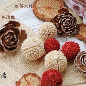 美圖4 _木丹果