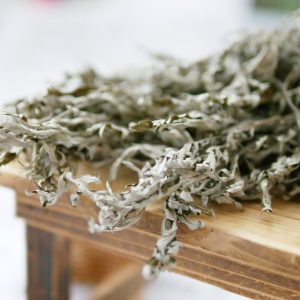 美圖4_整包艾草 拷貝