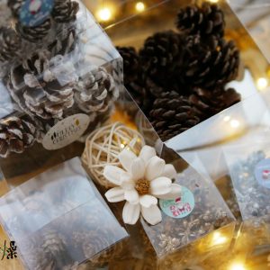 美圖4_果實小量販包 拷貝