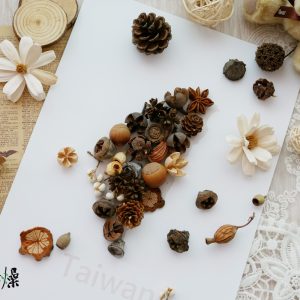 美圖4_果實拼貼畫 拷貝