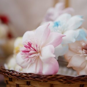 美圖4_水仙花 拷貝