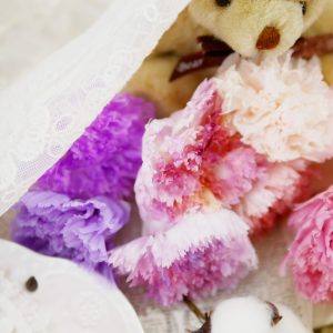 美圖4_永生康乃馨 拷貝