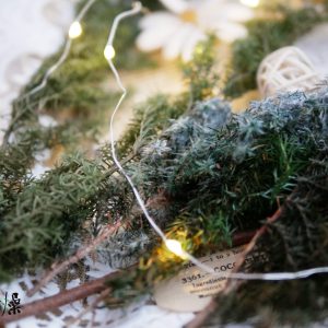 美圖4_永生雪松 拷貝