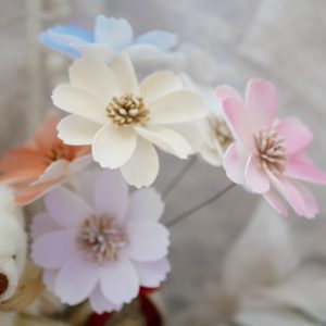 美圖4_波斯橘 拷貝